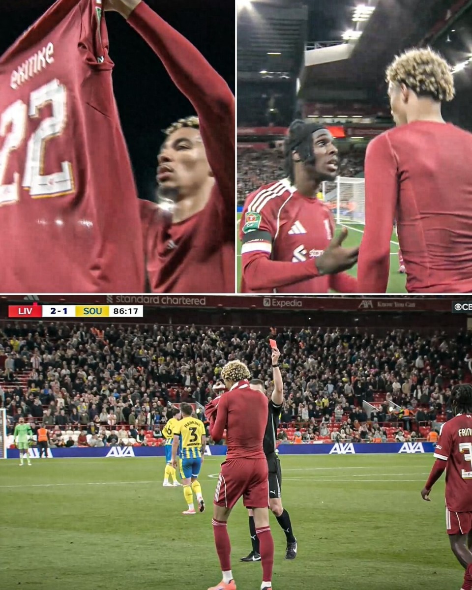 了替补, https 了替补, https